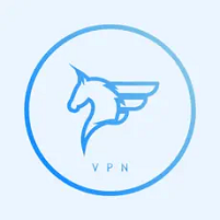 飞马加速器创始人